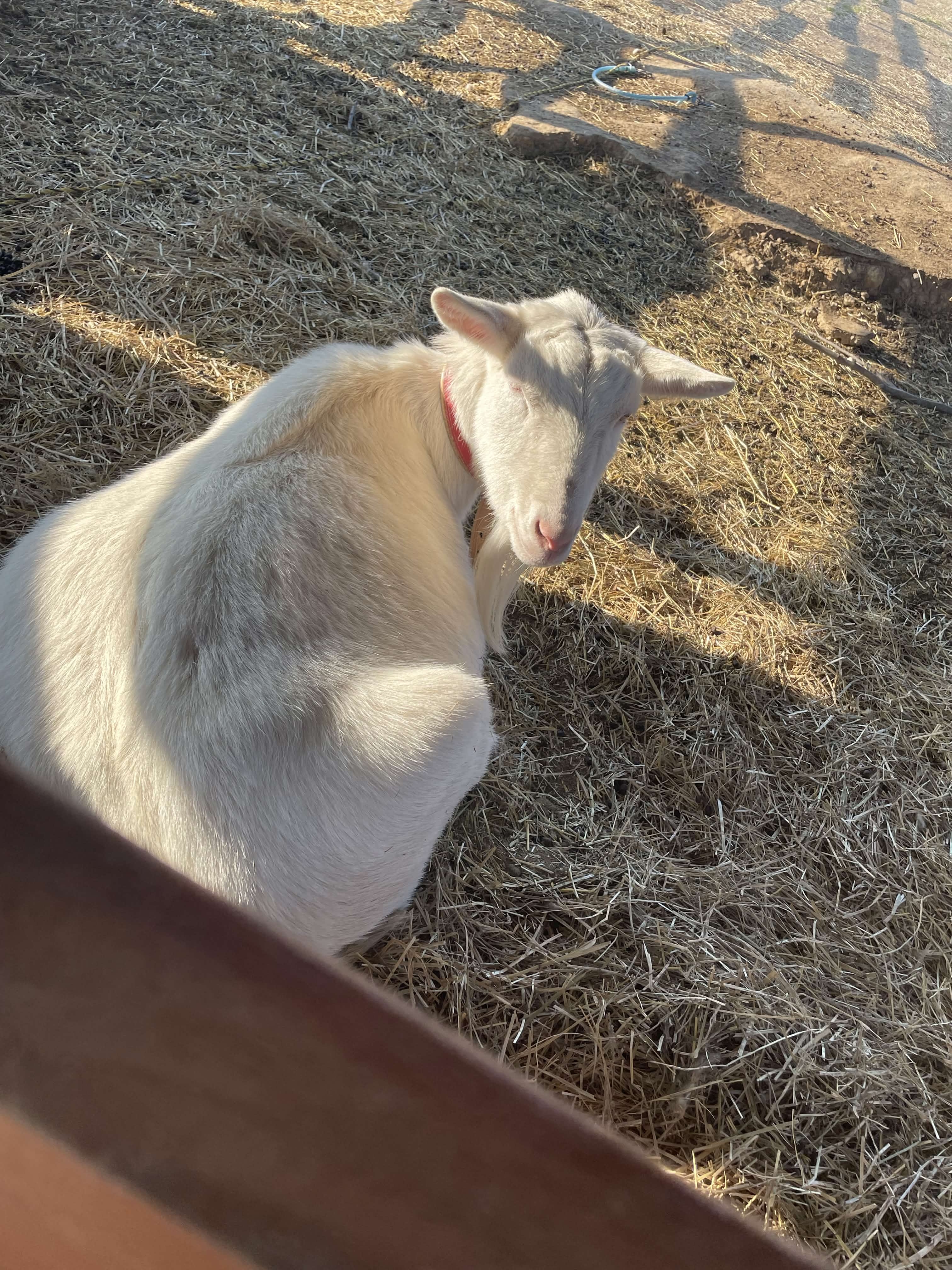 春休み第二週の活動記録です